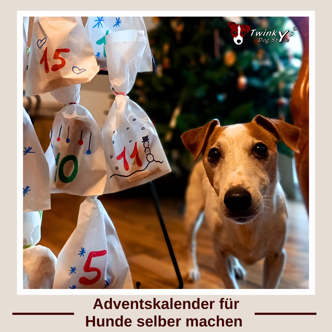Adventskalender-Hund-selber-machen-Magazin